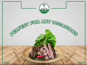 It can be disposed anywhere