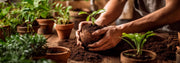 Coconut Coir Planters: The Sustainable Revolution in Gardening