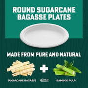 PALM NAKI Heavy Duty Paper Bowls Bulk | 12 oz, 80-Pack | Natural Sugarcane Bagasse & Bamboo Pulp | Disposable Bowls for Hot Soup & Meals | Leak-Resistant & Sturdy