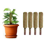 Palm Naki 12" Coconut Coir Totem Pole Plant Support Set of 4