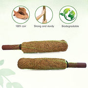Palm Naki 12" Coconut Coir Totem Pole Plant Support Set of 4