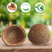 Palm Naki 10" Coconut Coir Hanging Metal Planter Set of 4