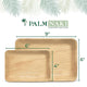 Palm Naki Rectangle Palm Leaf Plates (40 Count) - Disposable Dinnerware, Compostable and Biodegradable Plates